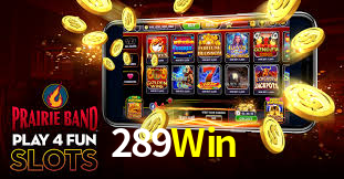 Bônus Generosos e Exclusivos no 289Win para Você!